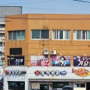 [삼천포] 삼학물회 &amp; 삼천포수산시장 갑오징어회, 조개구이