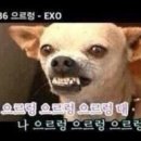 메리제인 카페 이미지