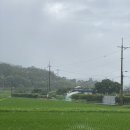복실이 한정식 이미지
