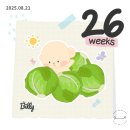 남동154 | [26w] 임당수치 197, 임당검사 재검 통과, 센스앤하트 스튜디오 결혼1주년 촬영