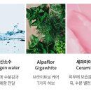 비비파트너스 | 토니모리 루미너스 비비크림 사용후기 추천(파운데이션, BB크림, 씨씨크림 차이. 장단점)