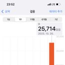 보헤 미안