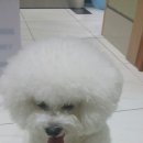 심통PC 이미지