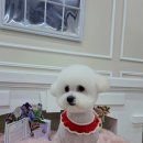 아임그루머 이미지