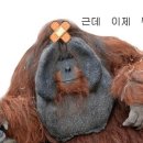 쉼게스트하우스 이미지