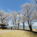 용화사 앞 이미지