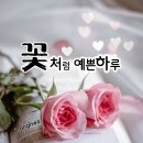 오늘의 날씨 (7월 25일 금요일) D-7 이미지