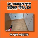 서부산방역 | 부산 바퀴벌레 방역 꼼꼼함은 1등입니다!
