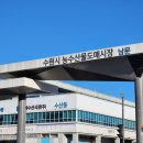 희망수산 | 바가지 없는 횟집 희망수산 수원 농수산물도매시장 대방어 모듬회 포장 후기