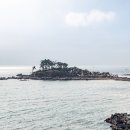 진하해수욕장 이미지