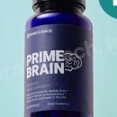 브레인 사이언스 이미지