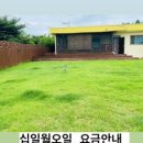 십일월오일 이미지