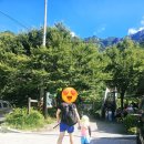 얼음골 | 🌊 2025년 밀양 얼음골 계곡 후기 🏞️ 여름 물놀이 명소 🏖️ 주차·준비물·아이들과 시원한 물놀이 👨‍👩‍👧‍👦💦