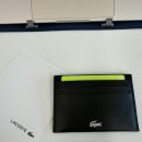 5083 | 🐊 라코스테 카드지갑 NH5083F55N 실사용 리뷰, 카드와 키를 한 번에 💳
