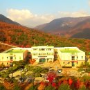 축구센터매점 - 천안시 서북구 축구센터로 150 | 축구센터매점