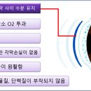 디클린 이미지