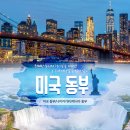 동부-10 이미지