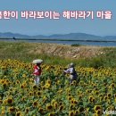 해바라기마을 이미지