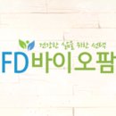 초록상어 이미지
