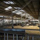 보성축사 이미지