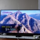 6시내고향 이미지