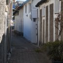 세화의료기 이미지