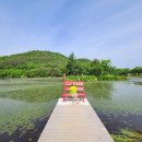 창포 목장 이미지