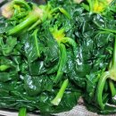 금치농장 이미지