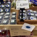 더로컬 314
