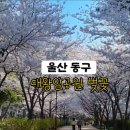 01-95 동구 이미지