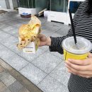 에그셀런트 이미지