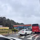 슬기네야채 | [당진 맛집] 슬기네수산 / 장고항 수산물 유통센터 회...귀꼴뚜기회, 새우장 가격 및 주말 방문 포장 후기