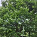 계명산자연휴양림 복합산림휴양관 이미지