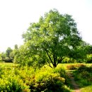 푸른초원 이미지