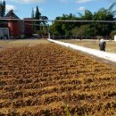 벨라비스타 이미지