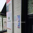 나무비 | 26.06.20 비 오는 날 다녀온 용인 자작나무숲 수국축제 후기[내돈내산]