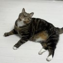 생활도예A | 사랑 꽉 찬 12월을 돌아보며 신년맞이 성수동 도자기 공방 크래프트 프랙티스 직접 만든 나만의 그릇까지