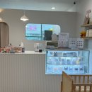 취향저견 이미지