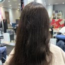 쏘스윗펫살롱 | 선유도역 담다살롱 🍯🐝푸디자이너 스페셜 클리닉 후기