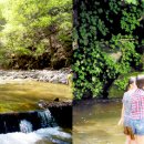 보랏빛산채마을 이미지