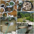 시온 민박 이미지