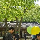 전등사 | 강화도 여행 전등사 방문 후기 주차정보