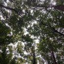 치유의 숲 쉼팡3 화장실 이미지