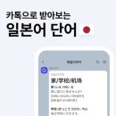데일리 | 카톡 일본어 데일리쿠키 내돈내산 후기