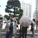 와석초등학교 이미지