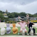 디유디유패밀리 이미지