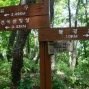 선석산 등산로 이미지