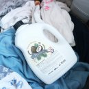 가도세탁 이미지