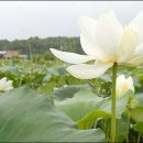 궁현2리 이미지