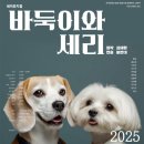 대학로 열린극장 네이버블로그